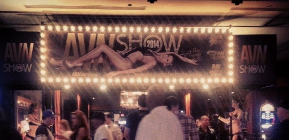 AVN & CES 2014, Las Vegas (Part 2)