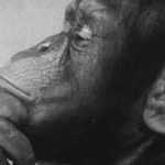 So Ya Wish Ya Can Time Travel And Change Your Destiny, Huh?