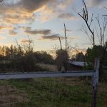 Back on the Oregon Trail, and Rose City Comic Con 2019