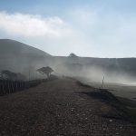 Going Down the Rabbit Hole, and Into the Simulation…