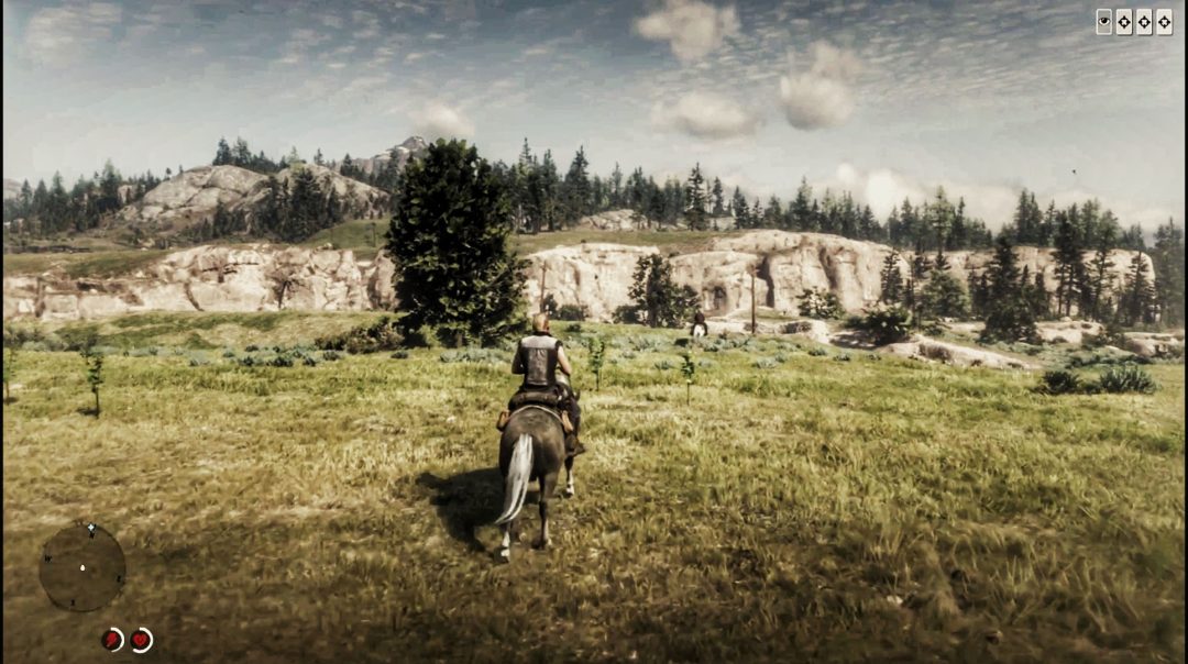 Ray Hom strolling in RDR2